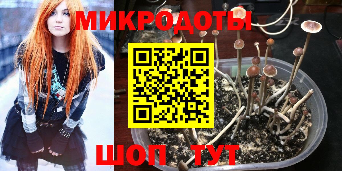 Псилоцибиновые грибы мухоморы  продажа наркотиков  Сланцы  Вход с VPN 