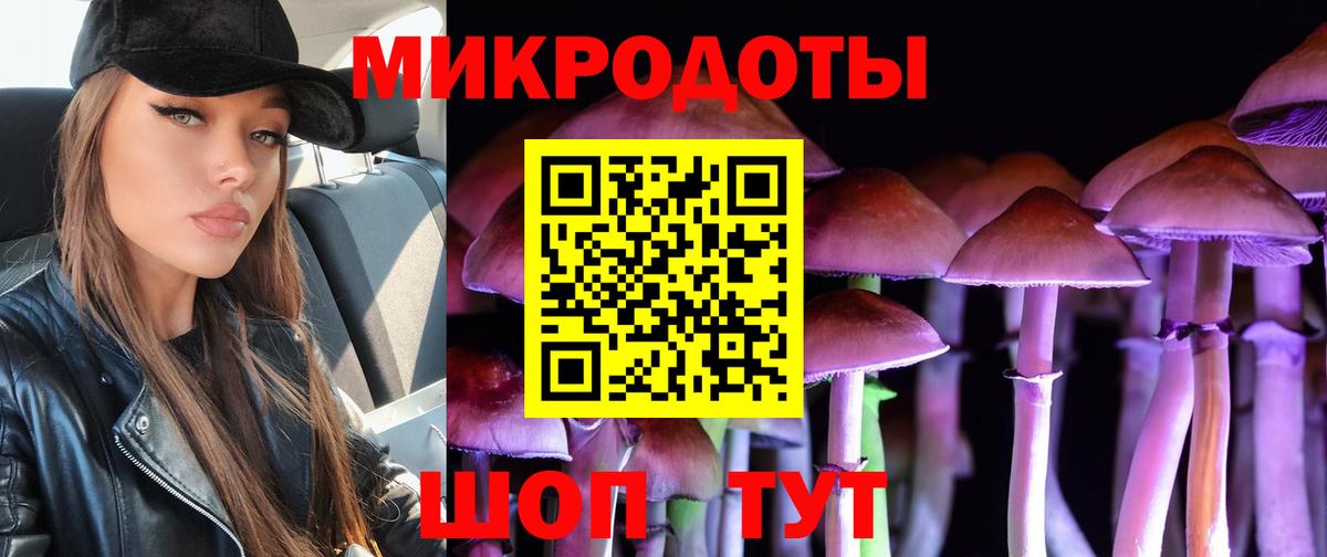 Псилоцибиновые грибы мухоморы Сланцы